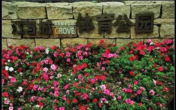 廠家去哪找？硬木企口體育木地板